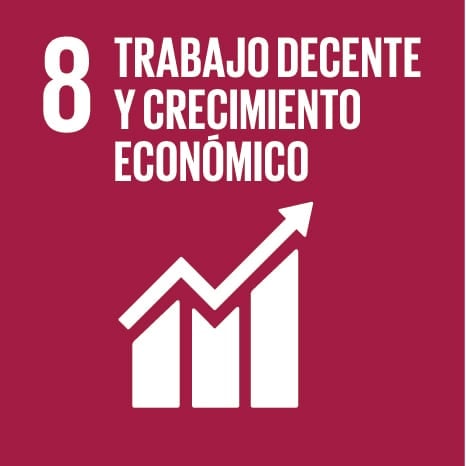 Objetivo Desarrollo Sostenible / ODS 8